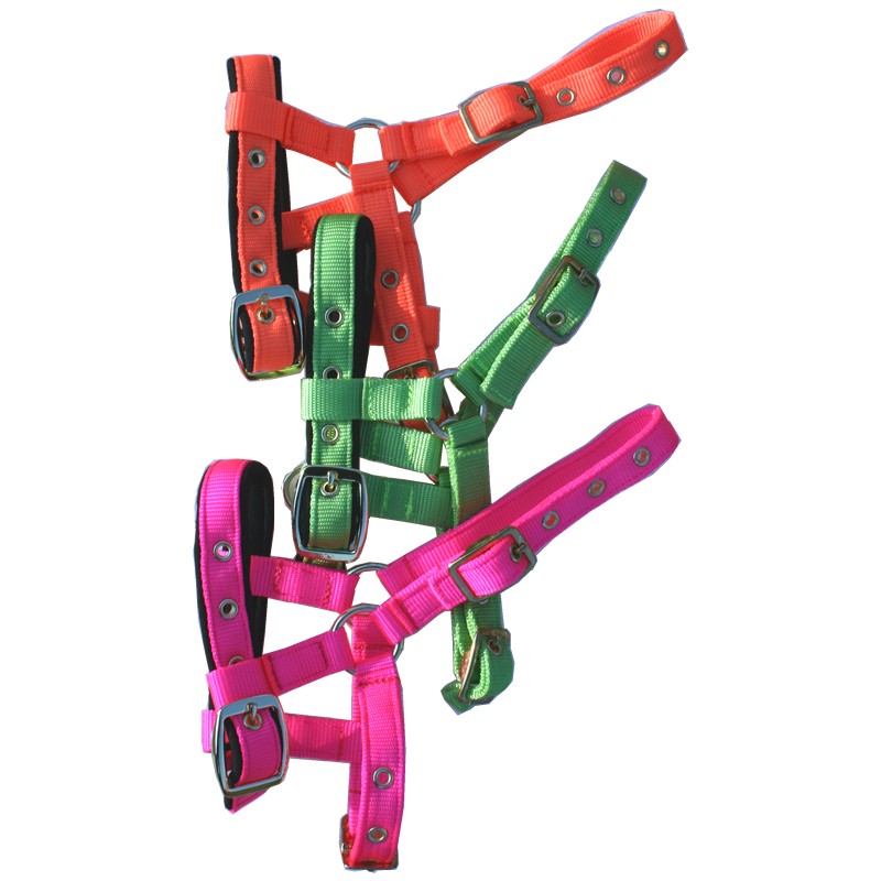 NH-003-MINI--other color